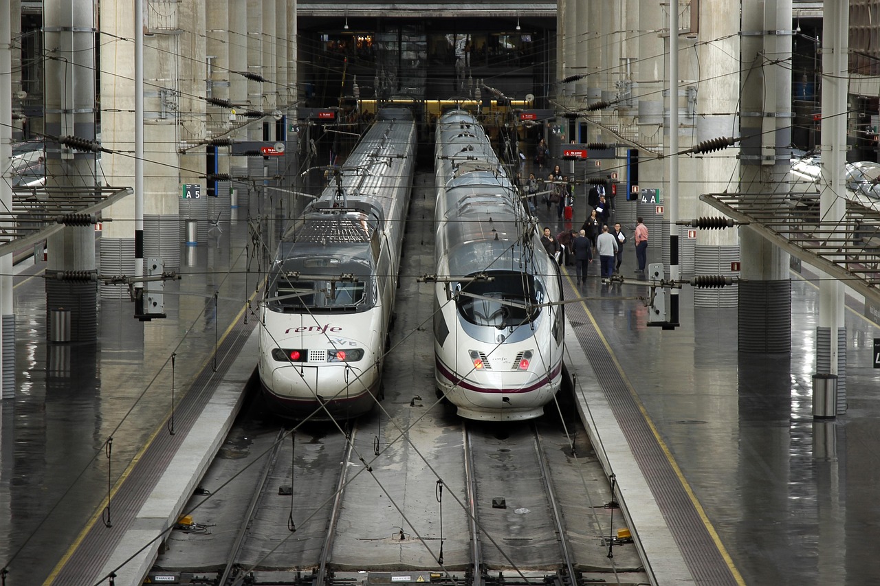 Foto de Joey en Estación de Atocha 🚆