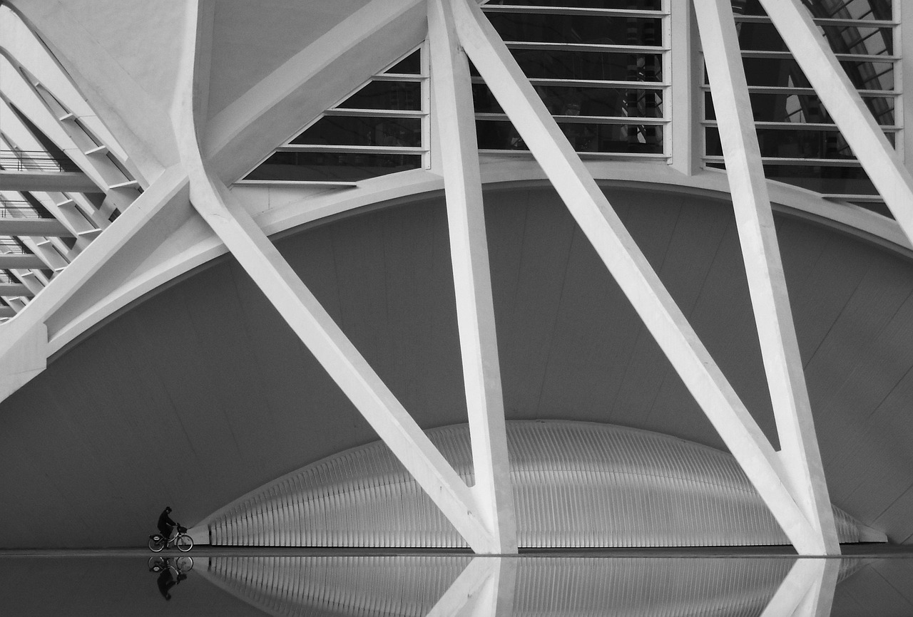 Foto de Urbanfoto en Oceanogràfic de València