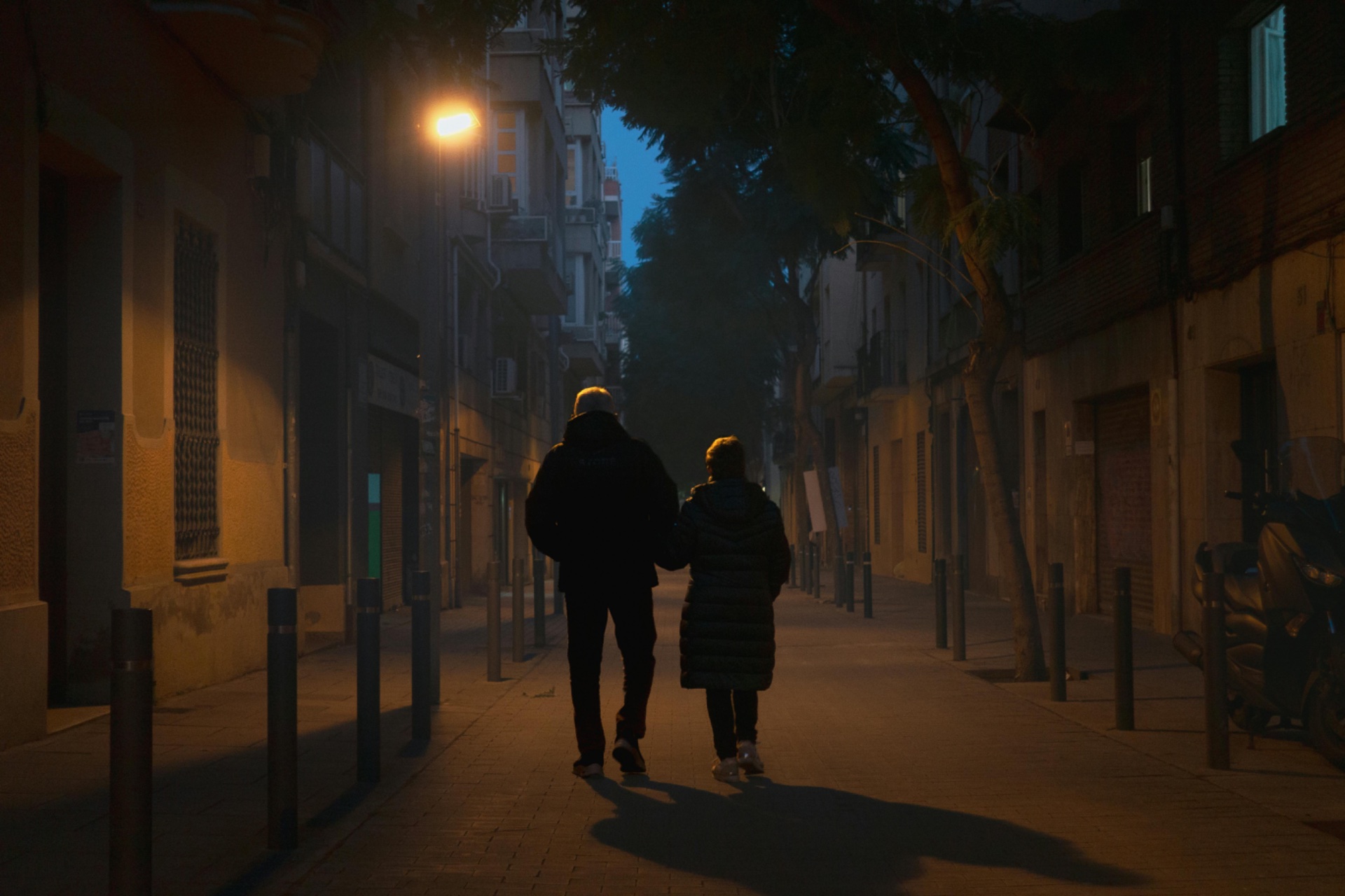 Foto de Baobab en Barri de Gràcia